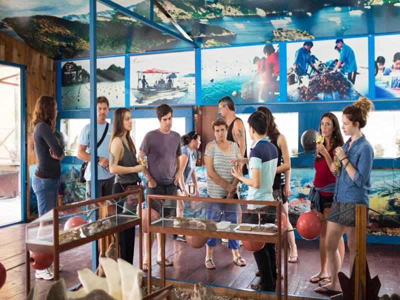 Charm Boutique Cruise Hotel Ha Long Exterior foto
